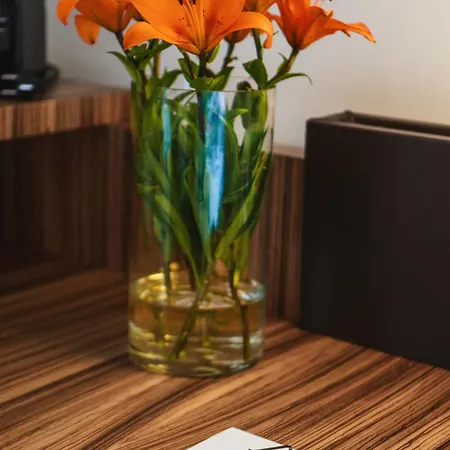 Herzogshof - Boutique-hotel Am Dom ريغنسبورغ