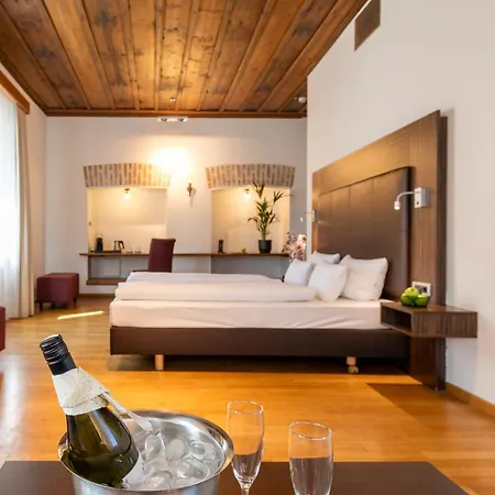 فندق Herzogshof - Boutique-hotel Am Dom ريغنسبورغ