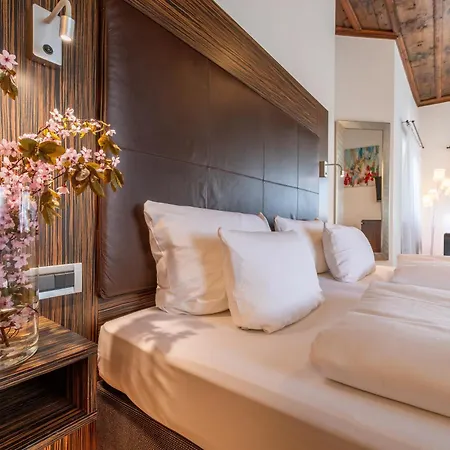 호텔 Herzogshof - Boutique-hotel Am Dom 레겐스부르크