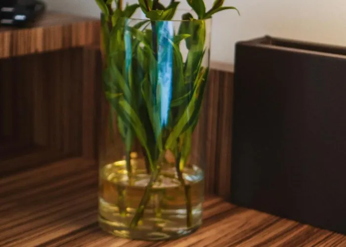 Herzogshof - Boutique-hotel Am Dom 레겐스부르크